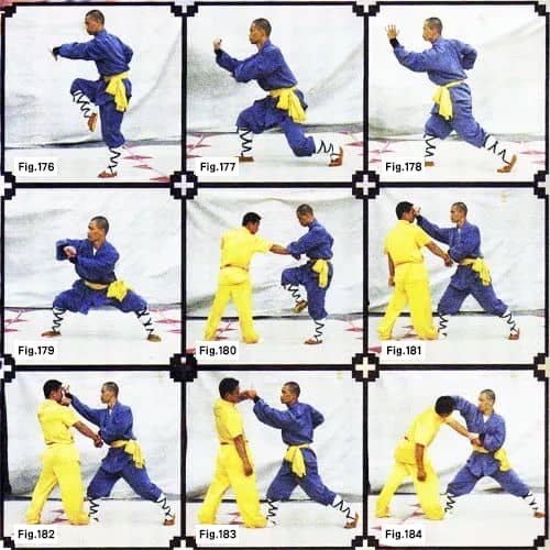 Shaolin Boxin