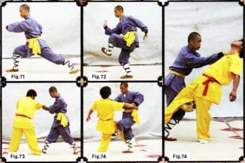 Shaolin Boxing