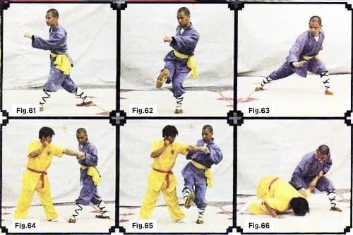 Shaolin Boxing