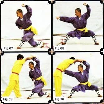 Shaolin Boxing