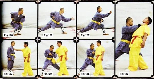 Shaolin Boxing