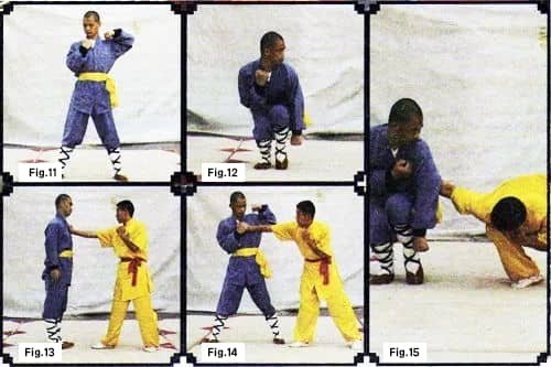 Shaolin Boxing
