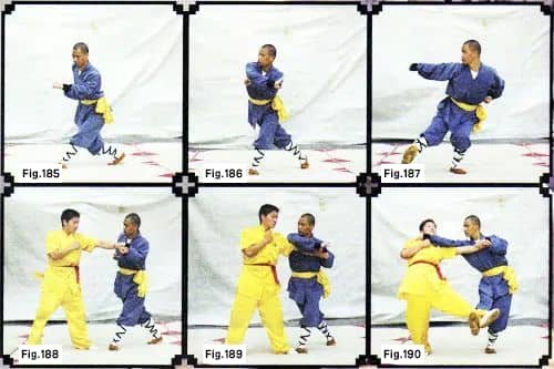 Shaolin Boxin