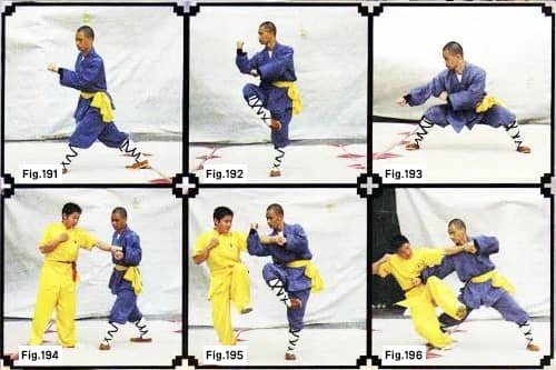 Shaolin Boxin