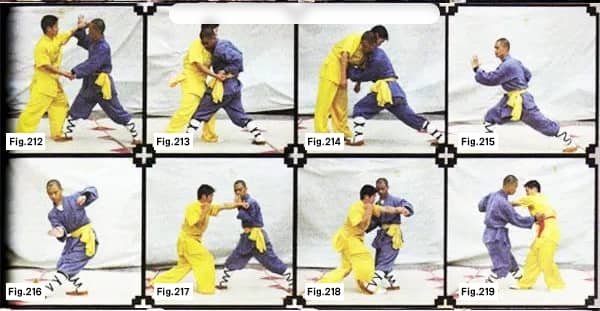 Shaolin Boxin