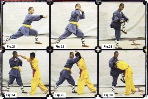 Shaolin Boxing