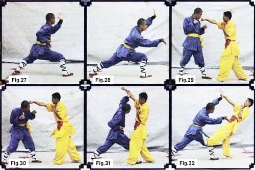 Shaolin Boxing