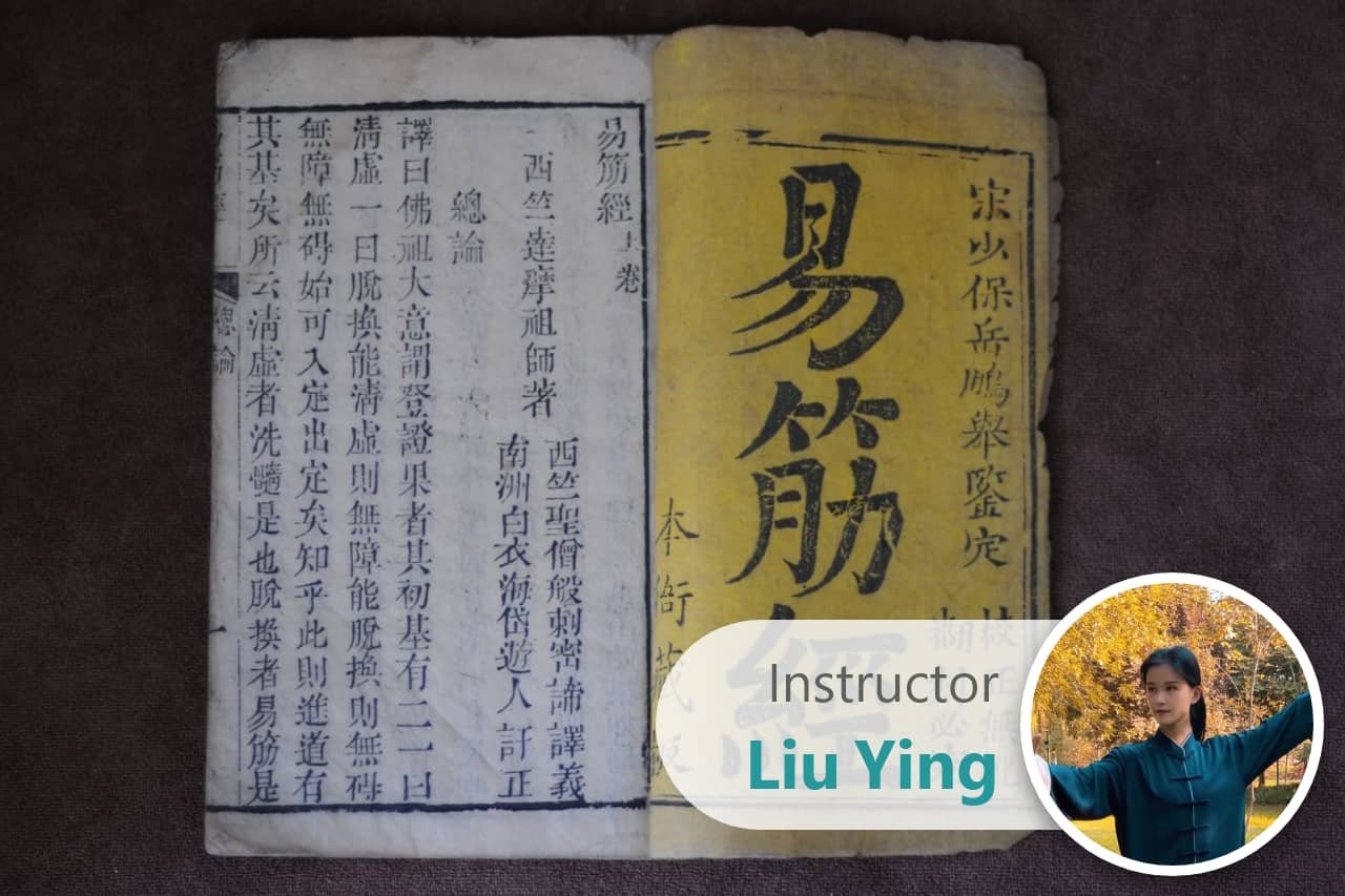 shaolin kungfu
